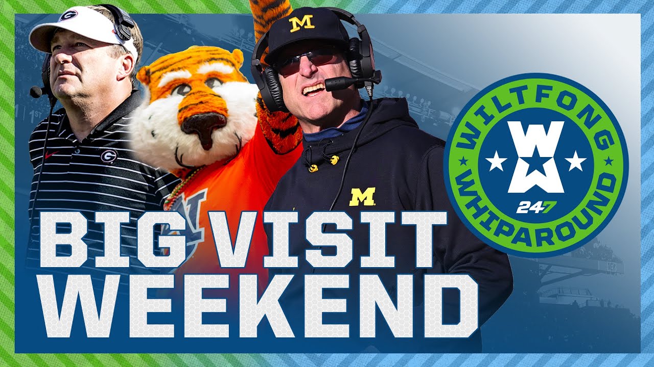 Wiltfong Whiparound Duce Robinson Decision Date Nears