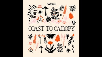 Exploring the Caves of the Wakulla Springs System