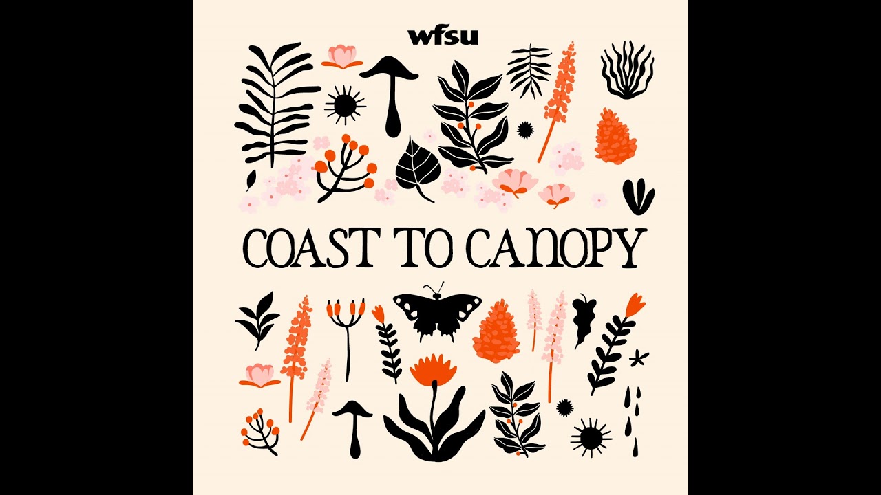 Exploring the Caves of the Wakulla Springs System