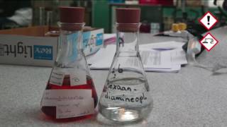 115 NYLON SYNTHESIS