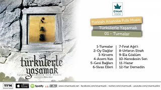 Mete Artun - Turnalar Resimi