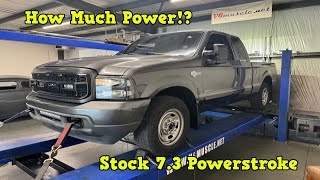 Put my STOCK 7.3 Powerstroke on the Dyno, What did it make !? Stock Tune vs. 120 Race Tune