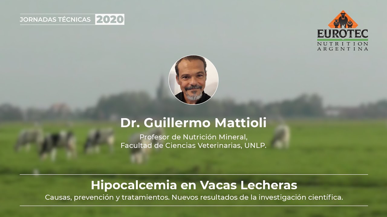 Guillermo Mattioli- Hipocalcemia en Vacas Lecheras- Eurotec Nutrition Argentina