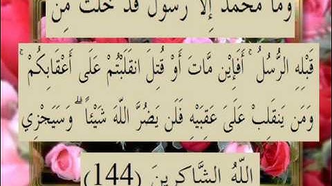 القران الكريم سورة آل عمران الأية 144