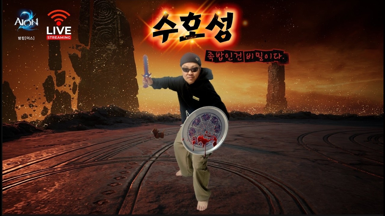 예...훈장 15개 증발 되었습니다... [아이온2] 수호성