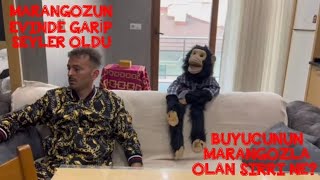 Büyülü Bebek 18 Bölüm Korku Ve Şiddet 13