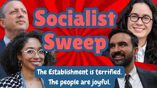 Socialist SWEEP has The Establishment freaking out. @ParkrosePermaculture