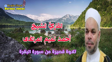 تلاوة خاشعة متميزة للقارئ الشيخ احمد تميم المراغى ما تيسر من سورة البقرة