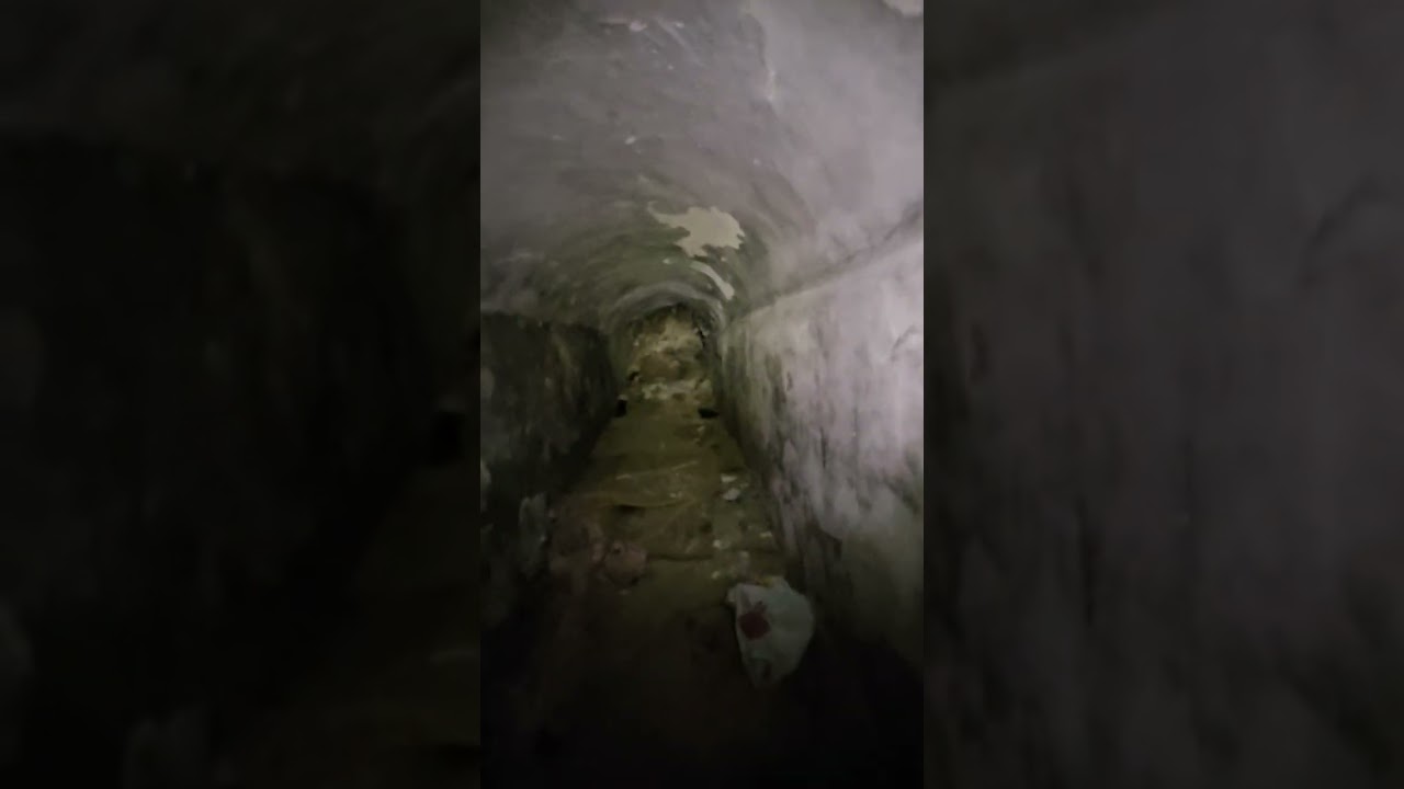 BATS, BATS AND MORE BATS IN THE BALKANS...