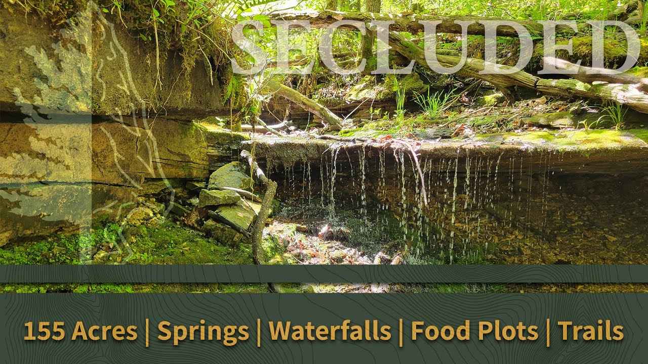 Land For Sale: 155 Acres Ozark County Missouri