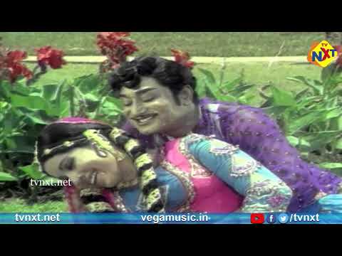 Anbai Thedi-அன்பைத்தேடி Tamil Movie Songs | Budhi Ketta Ponnu Video Song | Sivaji Ganesan | TVNXT