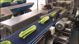 Redpack NTS flowrapping fresh celery on a field rig