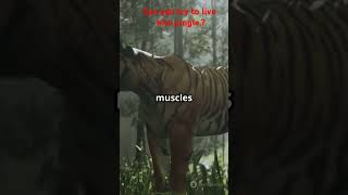 jungle life #epicshort