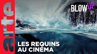 Les Requins au cinéma | Blow Up | ARTE