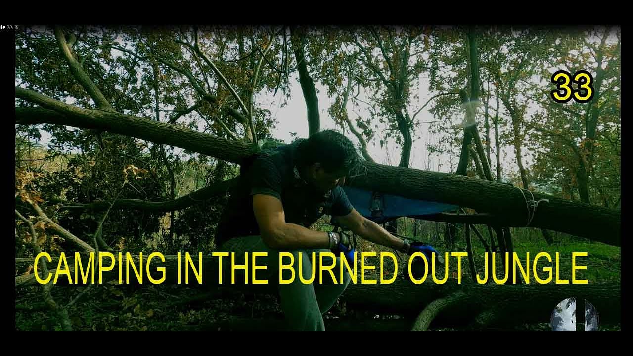 Surviving in the burned jungle Raw camping experience in a charred wilderness Bushcraft no. 33