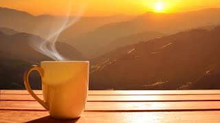 Celebrity Java Delight |S1 E14| Jill Johnson Young Wealth