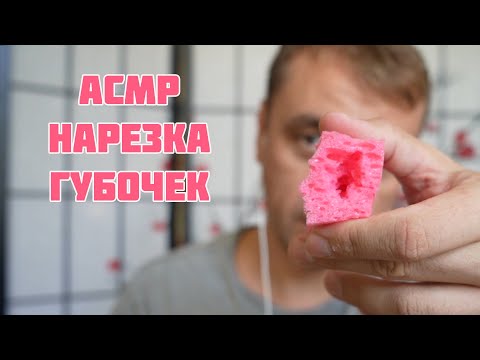 АСМР Мурашечные Губочки !