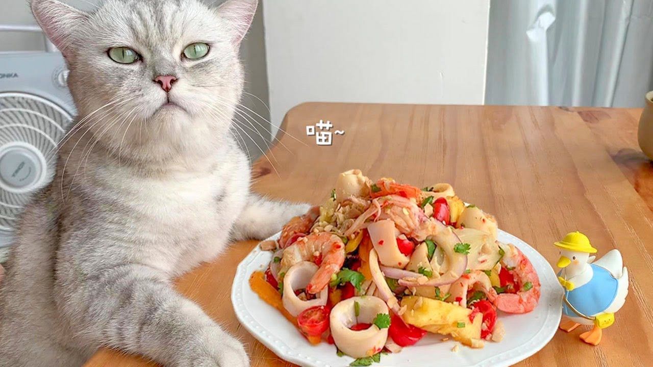 Cat Cooking Thai Squid Salad Easy Spicy Seafood Salad Recipe TikTok