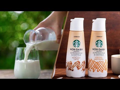 What Is Coffee Creamer Vs Milk
