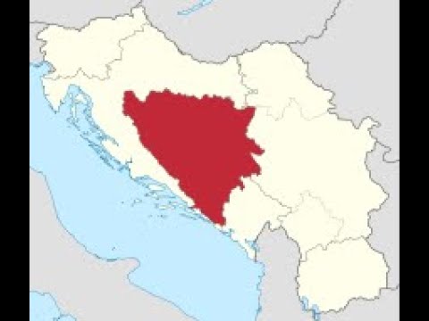 Pamkutya-Aranybula a délszláv háborúban