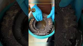 Grease Cleaning Gears Watch This Liquid Solution Work Wonders