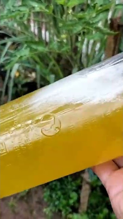 Buat pestisida fungisida nabati LANGSUNG PAKAI⁉️