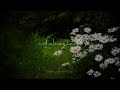 Mun paniya muthal mazhaiya | tamil whatsapp status videos | tamil lyrics status