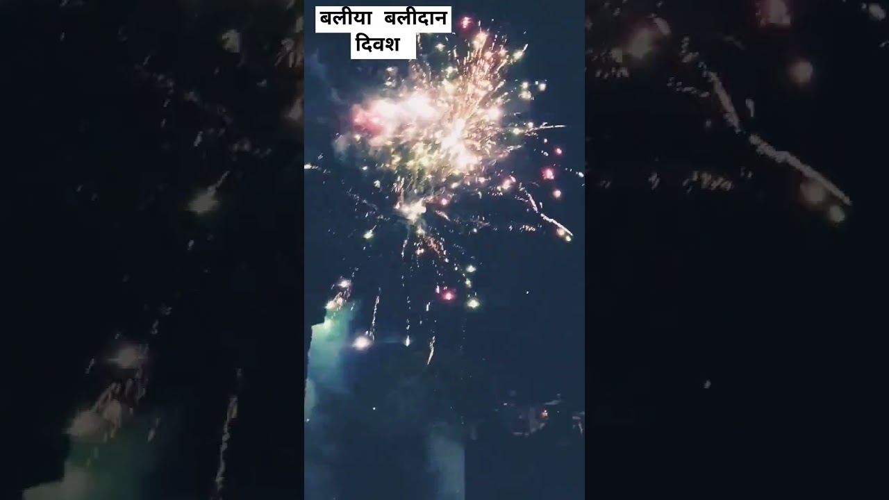 Ballia balidan divas🪖🇮🇳