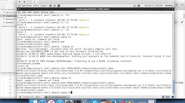 Hadoop Certification - Common Issues - Running applications as shell programs