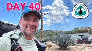 2024 PCT Thru Hike Day 40: Back to Trail!