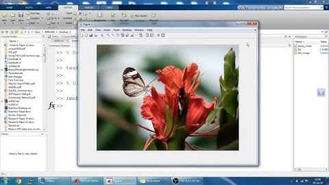 Filtering a Region of Interest ROI in a 3D color Image  Part II