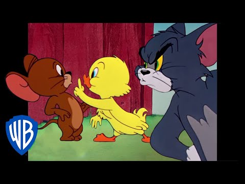 Tom y Jerry en Latino | ¡Pequeño Patito, el más lindo! | WB Kids