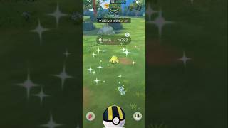 Shiny Joltik Catching In Pokemon Go #pokemongo #pokemon #autowalk #shinypokemon #pokemongosafarizone