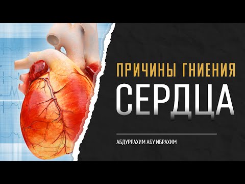 Причины гниения сердца | Абдуррахим Башпаев