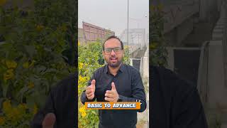 ✅Start you’re MNC career with SAP Fico #share #sapfico #accountsadvisor #like #trending #explore #yt
