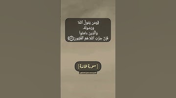 سورة المائدة الآية ٥٥ و ٥٦ بصوت الشيخ محمد صديق المنشاوي
