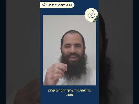 מה העניין של פסח שני?
