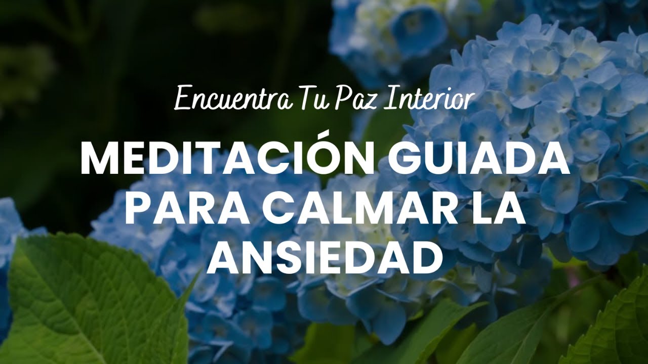Meditación guiada para calmar la ansiedad – Encuentra tu paz interior ...