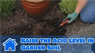 If you need to raise the acid level in your garden soil, consider
adding peat moss, large quantities of compost, or chemicals alter ph
soil. ma...