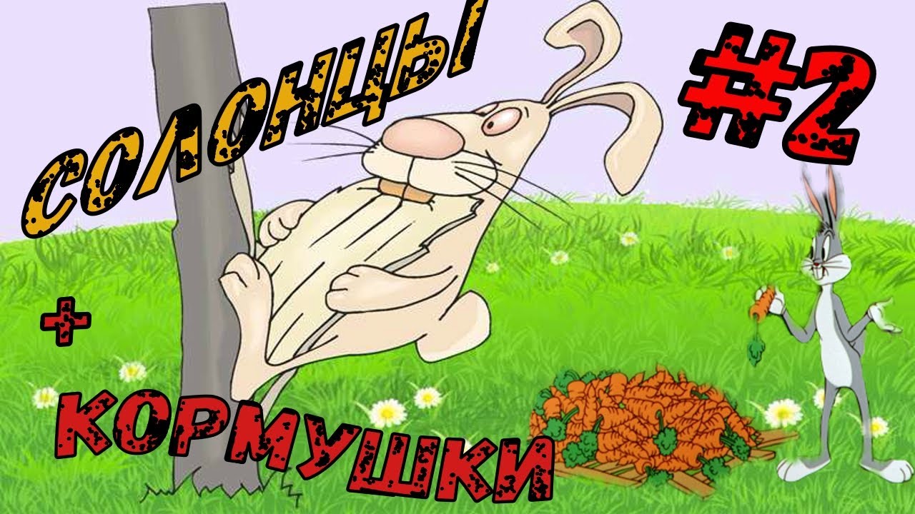 СОЛОНЦЫ ДЛЯ ЗАЙЦА #2
