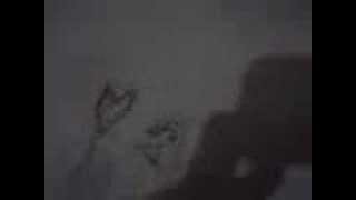 Şarkı Gecmış Zaman Soylermı