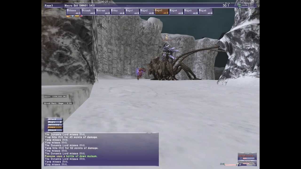 FFXI Dynamis Lord Summoner Solo