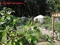 Permaculture Garden in Connecticut| Zone 6b Tour #2