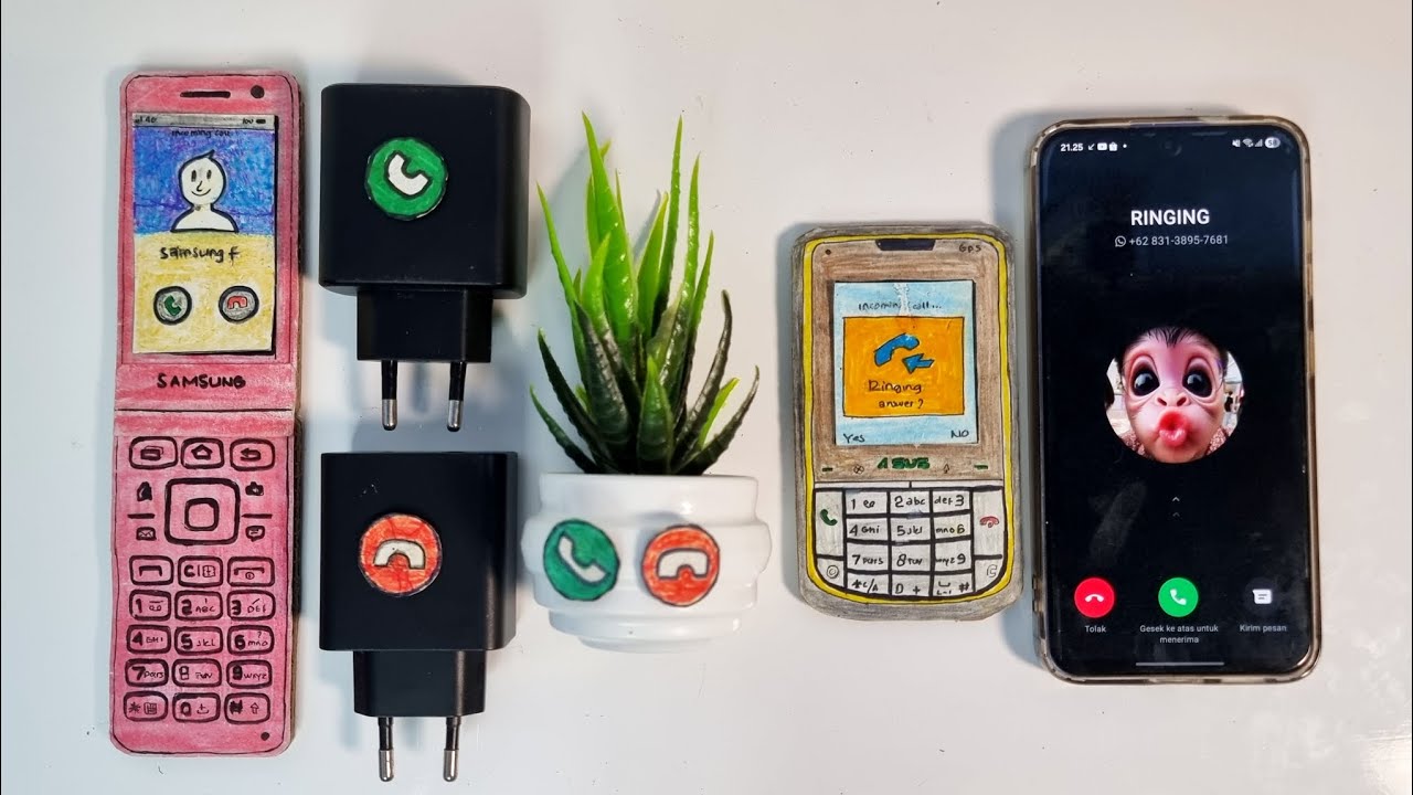 Samsung folder/double charger/decorative plants/asus zenfone/samsung s24, whatsapp+incoming calls