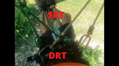 The Weirdest Srt vs Drt Comparison Video EVER!