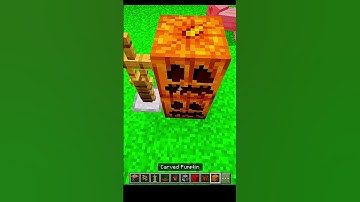 Minecraft 2 mini build hacks #scarecrow #buildhacks #minecraftshorts