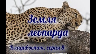 Земля леопарда ► Владивосток ► Серия 8