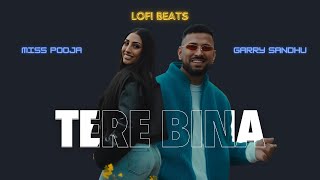 Tere Bina | Garry Sandhu | Miss Pooja | New Punjabi Video Song 2024 | Slowed Reverb Song | #lofi