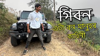 Story of Gibbon Ape  গিবন ৰ কাহিনী