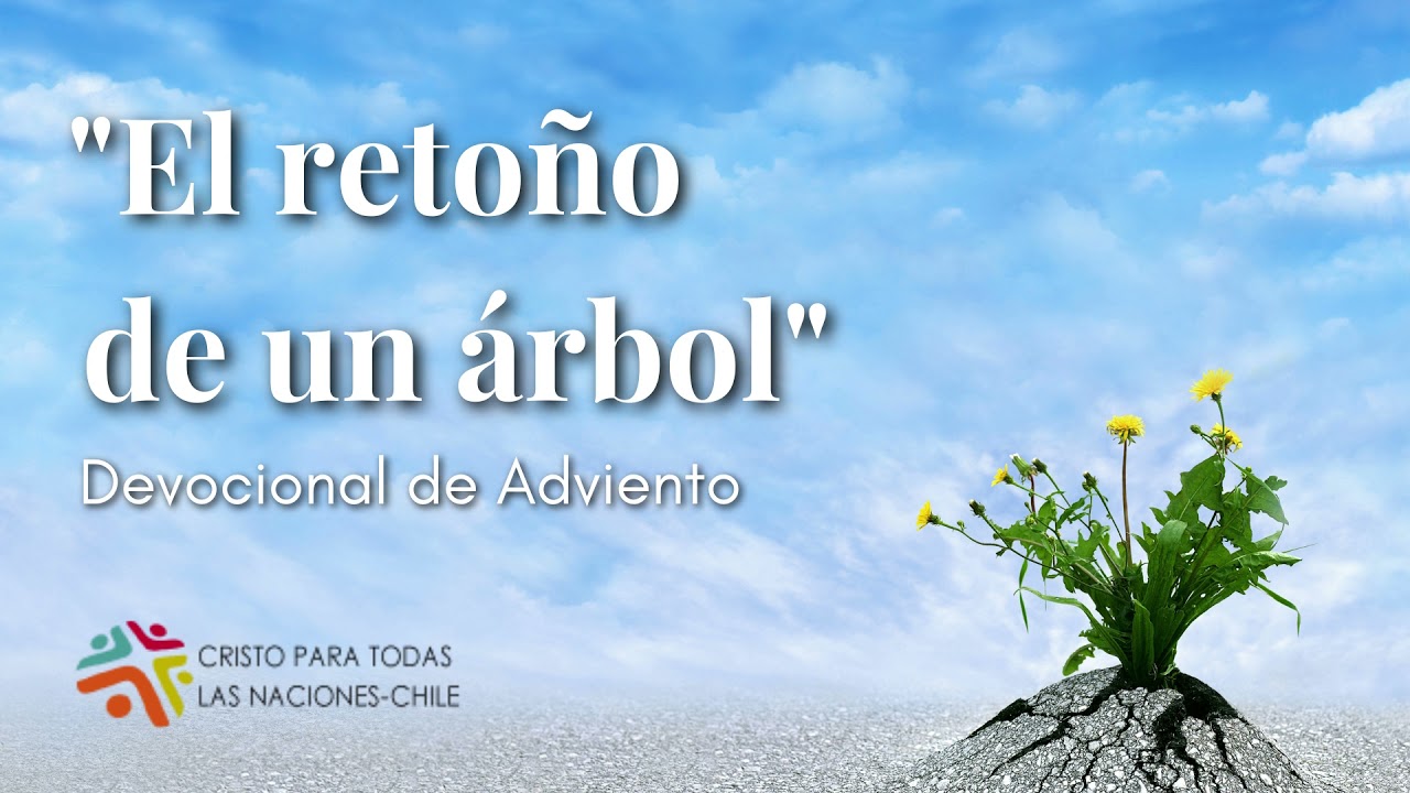 El retoño de un árbol | Cristo Para Todas Las Naciones - Chile